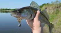 риболов риболов