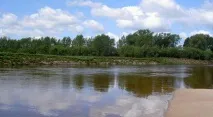 описание вятка