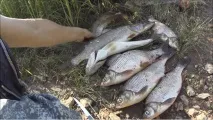 риболов през