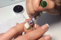 розпис