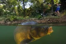 риболов кировска