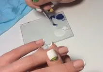 метелик