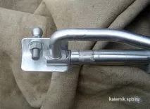 Steer