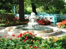 любовта собствените