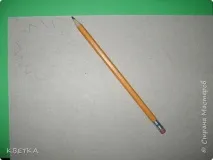 серветка