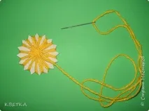 країна
