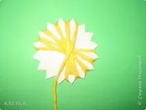 країна