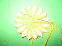 ромашка