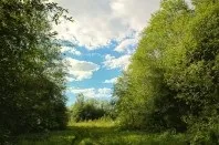 Санаторій - Череха, Псковська область, відгуки, ціна 2018, адреса, телефон, Офіційний сайт - область