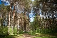 Санаторій - Череха, Псковська область, відгуки, ціна 2018, адреса, телефон, Офіційний сайт - область