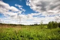 Санаторій - Череха, Псковська область, відгуки, ціна 2018, адреса, телефон, Офіційний сайт - санаторій