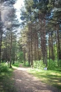 Санаторій - Череха, Псковська область, відгуки, ціна 2018, адреса, телефон, Офіційний сайт - санаторій