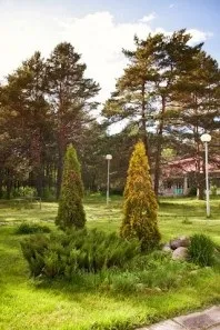 Санаторій - Череха, Псковська область, відгуки, ціна 2018, адреса, телефон, Офіційний сайт - санаторій