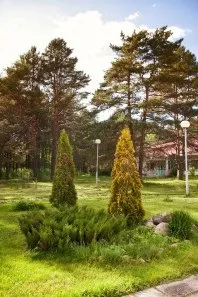 Санаторій - Череха, Псковська область, відгуки, ціна 2018, адреса, телефон, Офіційний сайт - область