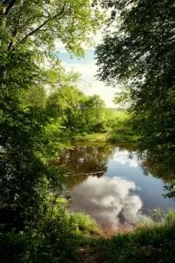 Санаторій - Череха, Псковська область, відгуки, ціна 2018, адреса, телефон, Офіційний сайт - санаторій