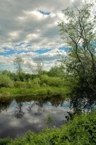 Санаторій - Череха, Псковська область, відгуки, ціна 2018, адреса, телефон, Офіційний сайт - область