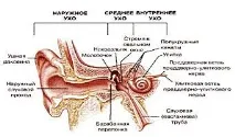 слуха слуха