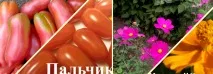 Насіння поштою поштою