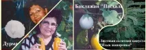 Насіння поштою насіння
