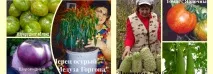 Насіння поштою поштою