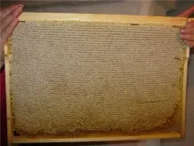 рамка