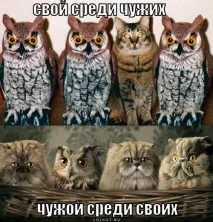 продажба продажба