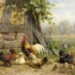 СТОВ «КОСКРО», Білорусь білорусь