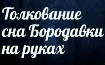брадавици брадавици