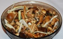 солени солени