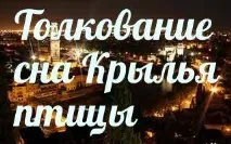 сънища птичи