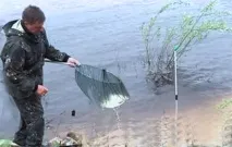 рибари