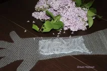майсторски майсторски