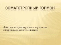 хормон хормон
