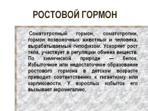 слайд слайд