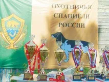 Змагання у Солотчі підсумки та висновки підсумки