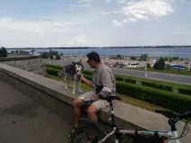 човека Кучето приятел човека