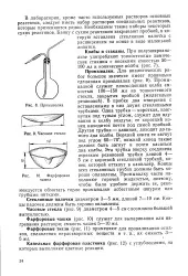 палички