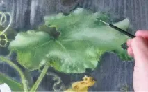 елементът елементът