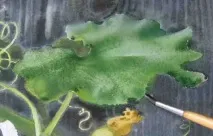 вода може бъде