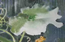 тънка четка може бъде