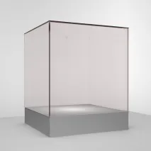 стъклена кутия glasscor