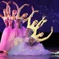 букви отговори