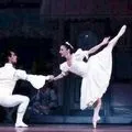 dance подсказки