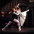 dance отговори