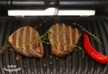 optigrill