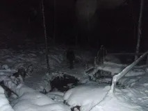 вижте раздела къртяево