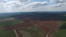 собствен торфена