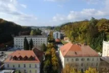 рогашка термален