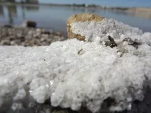 морска морска