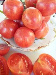 Томат Полуничний тигр опис сорту, відгуки, фото сорту